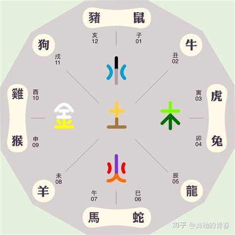 十二生肖 五行屬性|十二生肖对应的五行及属相年份五行对照表